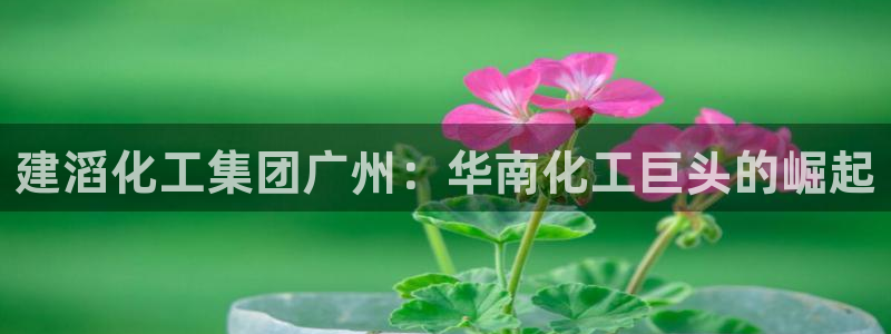 球盟会app入口
