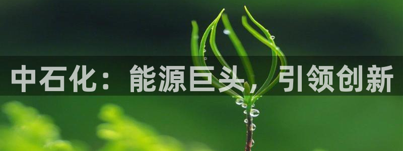 球盟会黑款吗：中石化：能源巨头，引领创新