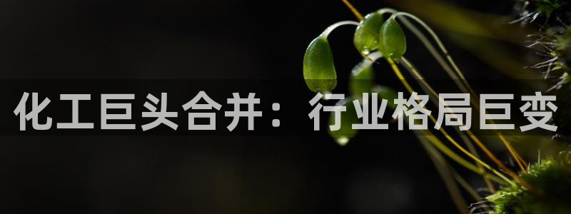 球盟会官方入口