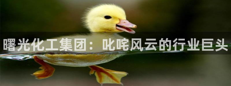 球盟会下载最新版