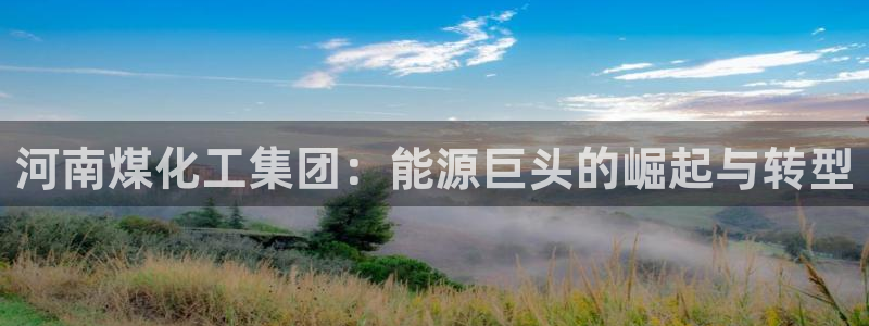 球盟会用的客服聊天是哪个软件