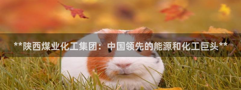 球盟会黑平台：**陕西煤业化工集团：中国领先的能源和化工巨头