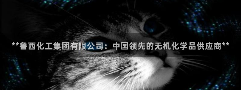 球盟会官方网入口：**鲁西化工集团有限公司：中国领先的无机化