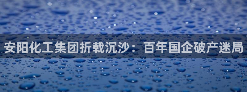 球盟会登陆入口