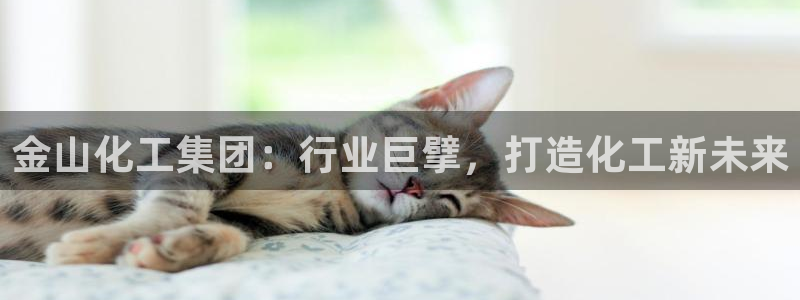 球盟会黑嘛