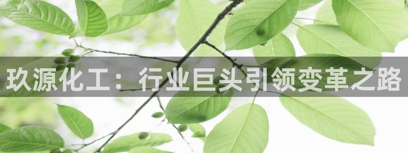 球盟会官方app首页入口