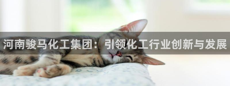 球盟会平台怎么样：河南骏马化工集团：引领化工行业创新与发展