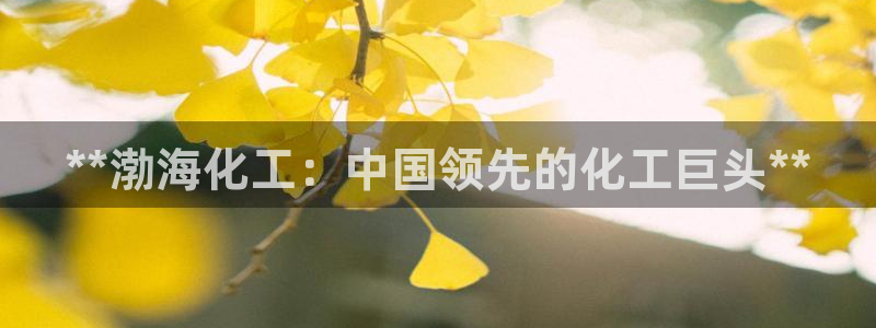 球盟会app入口：**渤海化工：中国领先的化工巨头**
