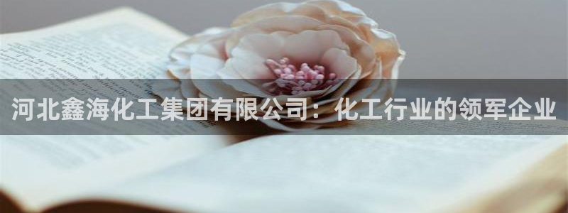 球盟会黑台子：河北鑫海化工集团有限公司：化工行业的领军企业