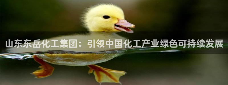 球盟会黑台：山东东岳化工集团：引领中国化工产业绿色可持续发展