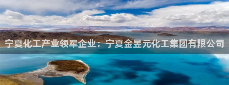 球盟会下款快吗：宁夏化工产业领军企业：宁夏金昱元化工集团有限