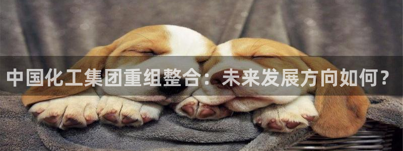 球盟会游戏几点玩合适：中国化工集团重组整合：未来发展方向如何