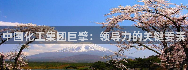 球盟会能提现吗是真的吗