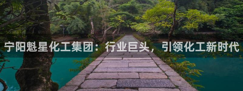 球盟会
