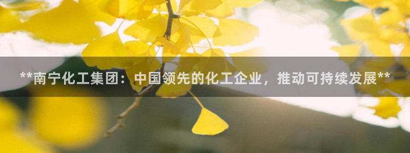 球盟会登录入口：**南宁化工集团：中国领先的化工企业，推动可