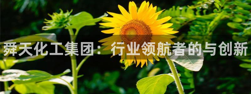 球盟会app入口