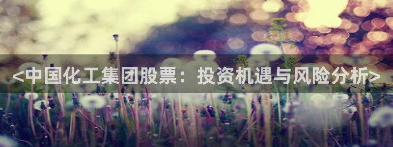 球盟会贴吧