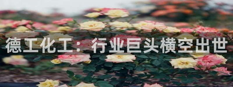 球盟会封号