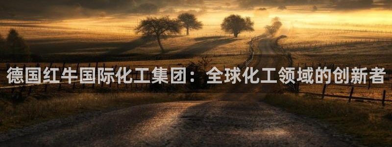 球盟会网址：德国红牛国际化工集团：全球化工领域的创新者