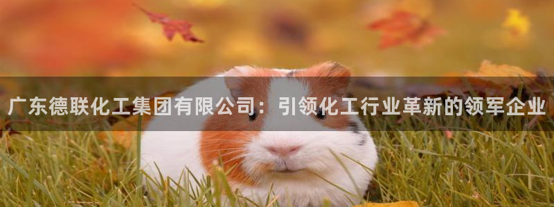 球盟会黑平台