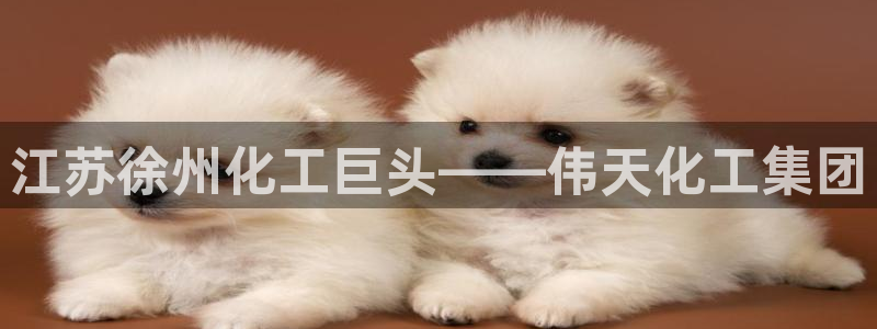 球盟会下载最新版