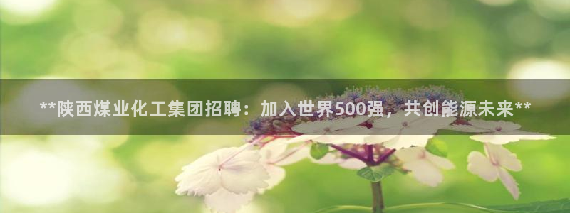球盟会下载最新版：**陕西煤业化工集团招聘：加入世界500强