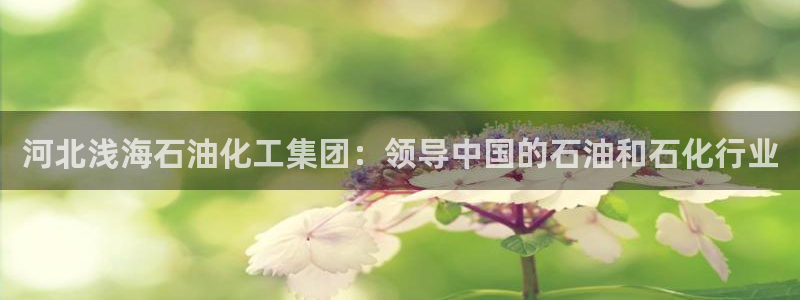 球盟会体育app官方网站：河北浅海石油化工集团：领导中国的石