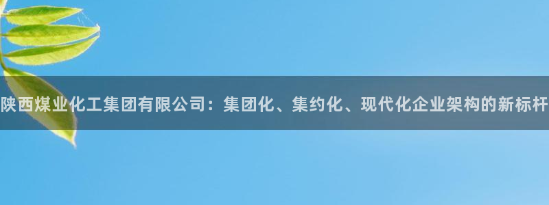 球盟会头号玩家：陕西煤业化工集团有限公司：集团化、集约化、现