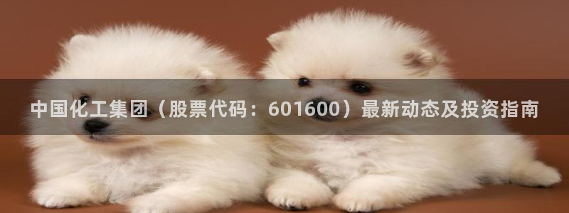 球盟会和中欧会的区别