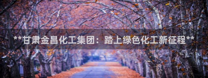 球盟会有没有黑单的球员：**甘肃金昌化工集团：踏上绿色化工新
