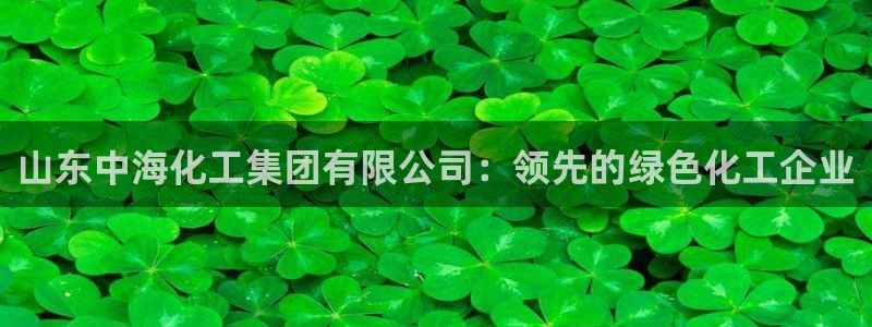 球盟会综合app下载：山东中海化工集团有限公司：领先的绿色化