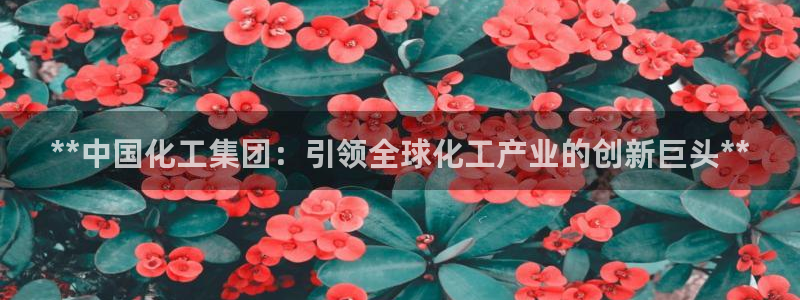 球盟会qm9：**中国化工集团：引领全球化工产业的创新巨头*