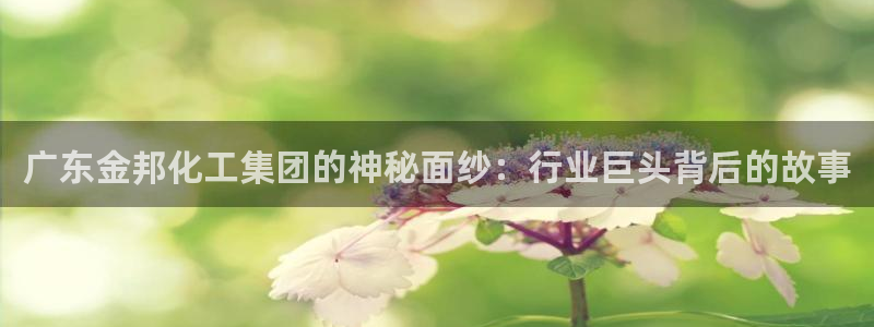 球盟会app网址多少号