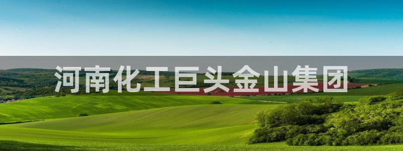 球盟会进不去：河南化工巨头金山集团