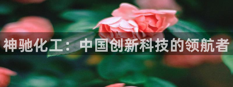 球盟会有没有黑单的：神驰化工：中国创新科技的领航者