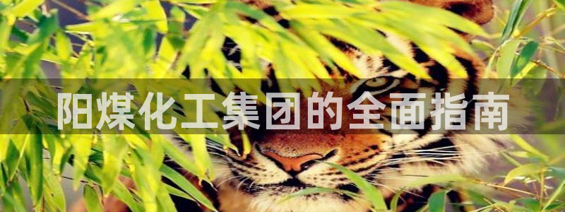球盟会官方网站