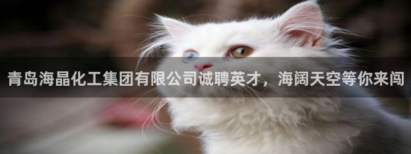球盟会最新网