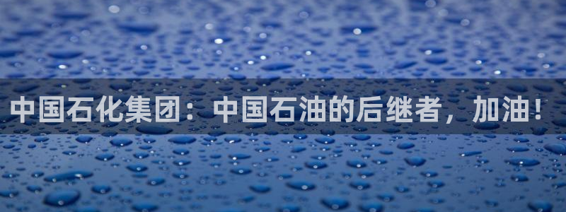 球盟会黑：中国石化集团：中国石油的后继者，加油！