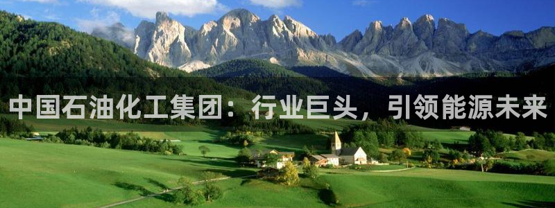 球盟会邮箱