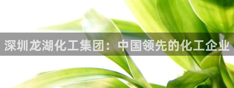球盟会游戏