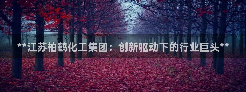 球盟会官方网站入口