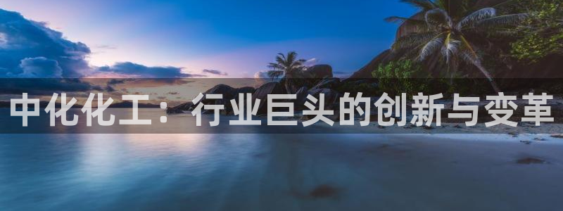 球盟会黑