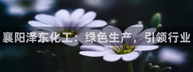 球盟会app最新地址在哪看