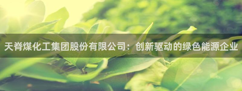 球盟会封禁：天脊煤化工集团股份有限公司：创新驱动的绿色能源企