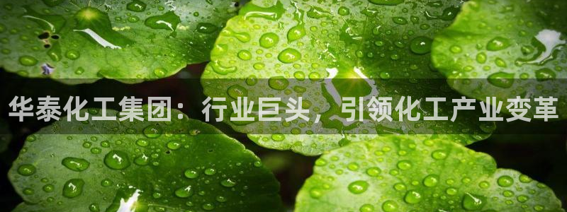 球盟会进不去球员吗：华泰化工集团：行业巨头，引领化工产业变革
