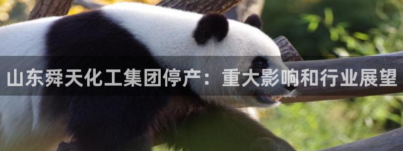 球盟会在线登入：山东舜天化工集团停产：重大影响和行业展望