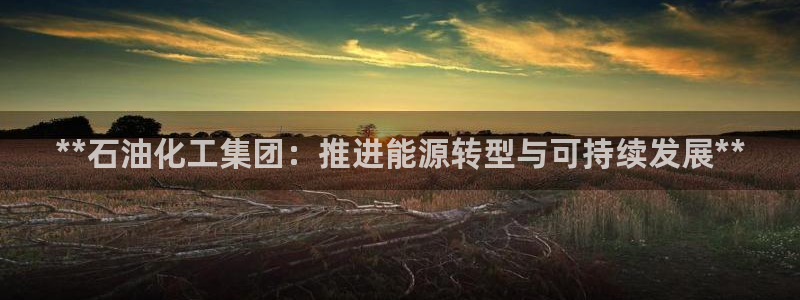 球盟会里面有打牌的嘛是真的吗：**石油化工集团：推进能源转型