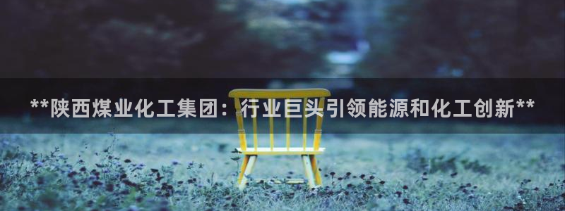 球盟会优惠码：**陕西煤业化工集团：行业巨头引领能源和化工创