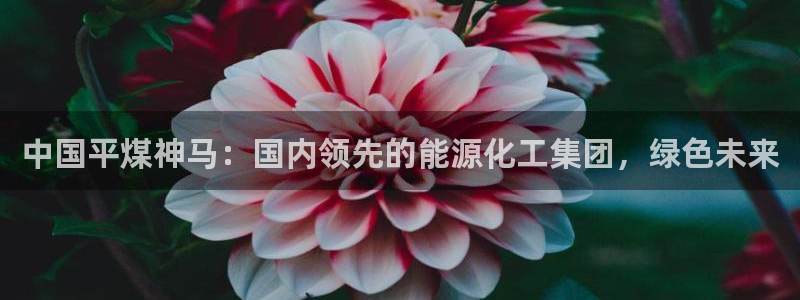 球盟会官网app下载：中国平煤神马：国内领先的能源化工集团，