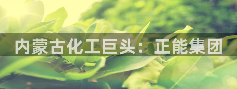 球盟会电子：内蒙古化工巨头：正能集团